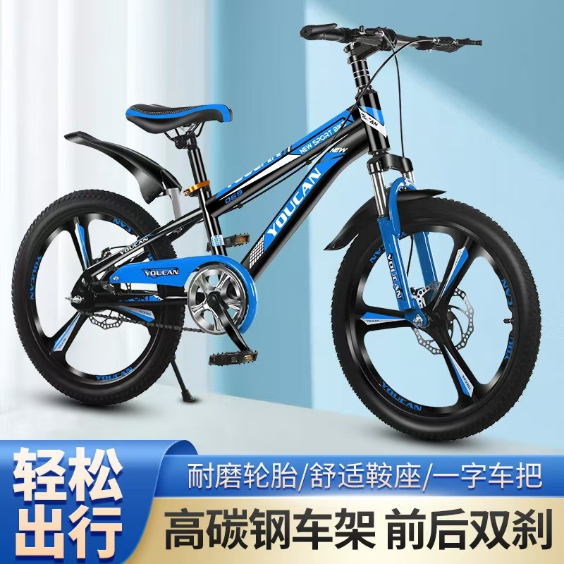 여아용 프린세스 스타일 어린이 산악 자전거(6~15세) - Quality Cycling Gear 리뷰 및 가격